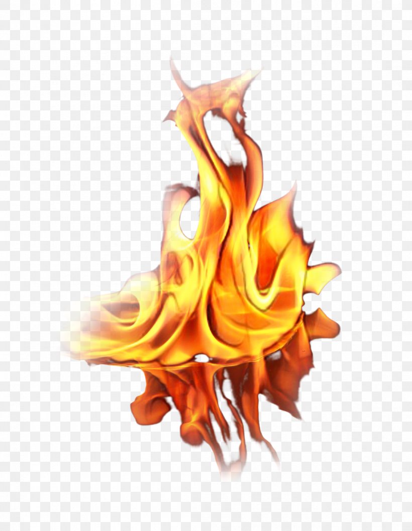 Fire Flame, PNG, 1099x1418px, Computer, Fire, Flame, Orange, Yellow Download Free
