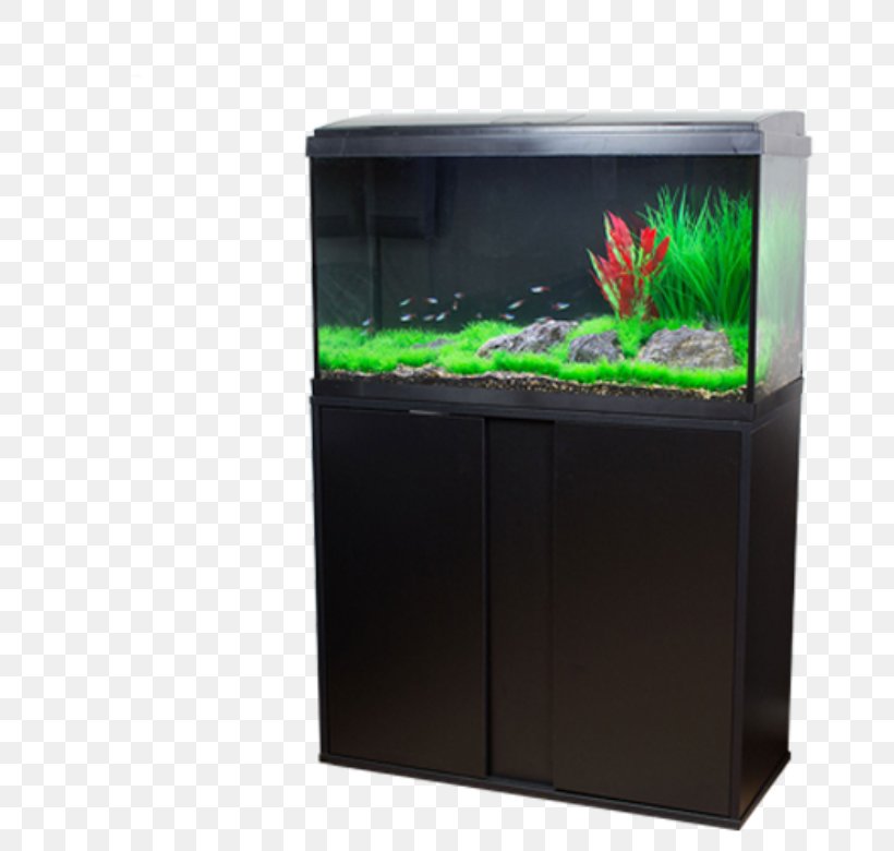 Freshwater Aquarium Discovery Aquatics Tropical Fish Aquascaping, PNG, 780x780px, Aquarium, Aquascaping, Dundee, Fish, Freshwater Aquarium Download Free