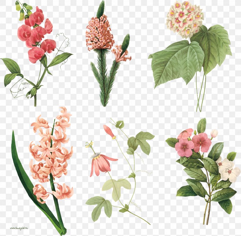 Periwinkle Floral Design Flower Botany Watercolor Painting, PNG, 2860x2807px, Periwinkle, Art, Blue, Botanical Illustrator, Botany Download Free