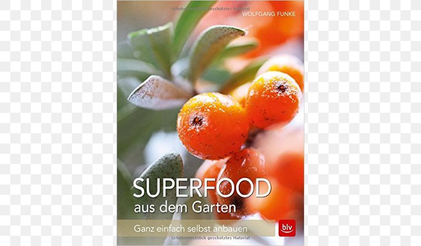 Superfood Aus Dem Garten: Ganz Einfach Selbst Anbauen Book Text Wolfgang Funke, PNG, 640x480px, Book, Fruit, Orange, Superfood, Text Download Free