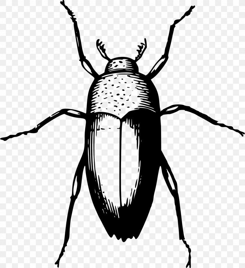 Beetle Animal Clip Art, PNG, 2194x2400px, Beetle, Animal, Arthropod, Artwork, Bee Download Free