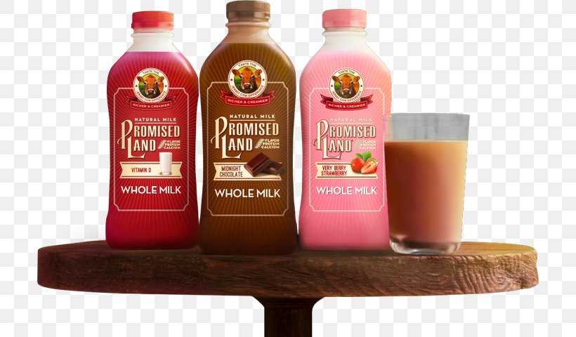 Chocolate Milk Flavored Milk, PNG, 716x480px, Milk, Borden, Bottle, Chocolate, Chocolate Chip Cookie Download Free