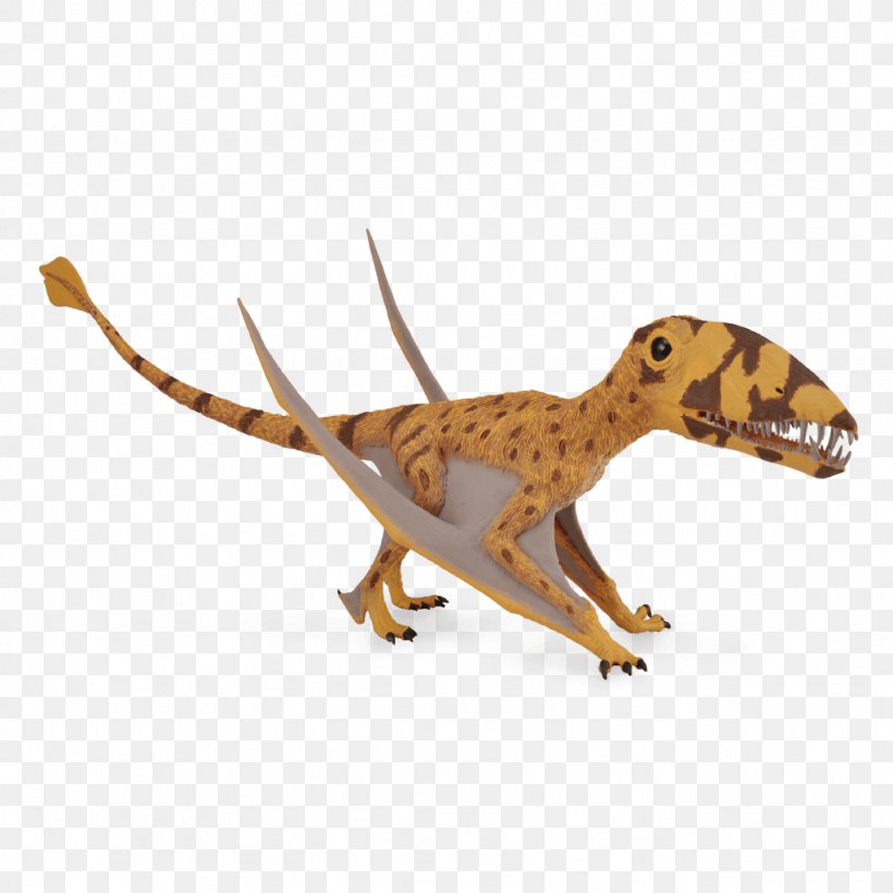 CollectA Dimorphodon Dinosaur Toy Pterosaurs CollectA Dimorphodon Dinosaur Toy CollectA Attenborosaurus Toy, PNG, 1024x1024px, Dimorphodon, Animal Figure, Dinosaur, Early Jurassic, Fauna Download Free