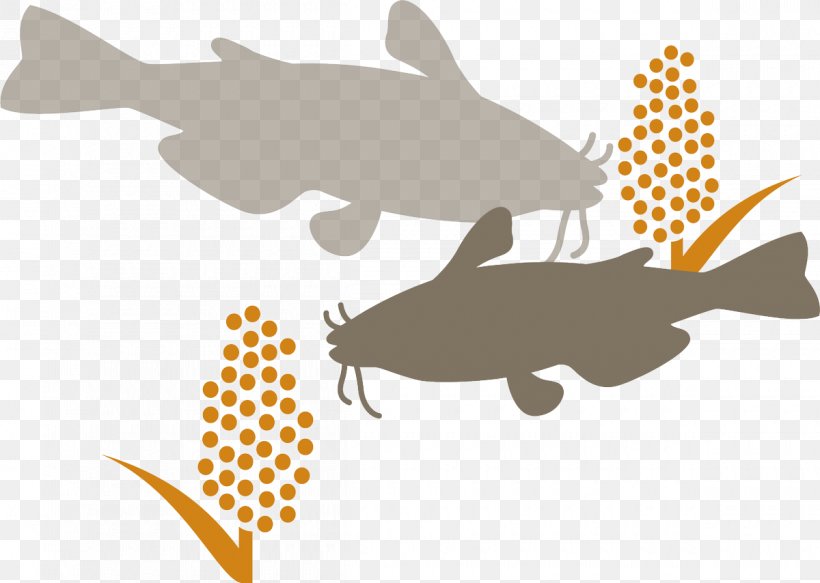 Fish Cartoon, PNG, 1200x854px, Collage, Catfish The Tv Show, Fin, Fish Download Free