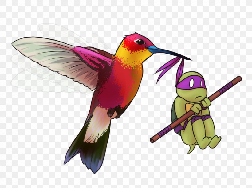 Hummingbird Drawing, PNG, 900x671px, Hummingbird, Beak, Bird, Coraciiformes, Cuteness Download Free