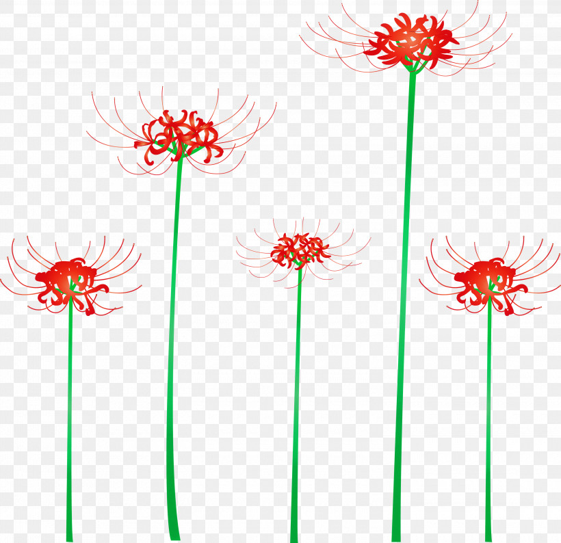 Hurricane Lily Flower, PNG, 3000x2908px, Hurricane Lily, Cut Flowers, Flower, Gerbera, Line Download Free