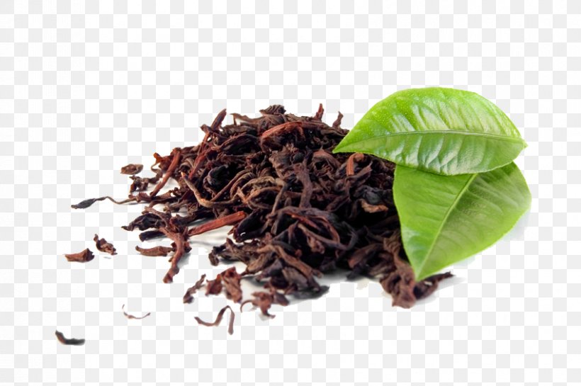 Green Tea Darjeeling Tea Black Tea Assam Tea, PNG, 850x565px, Tea, Assam Tea, Bai Mudan, Bancha, Black Tea Download Free