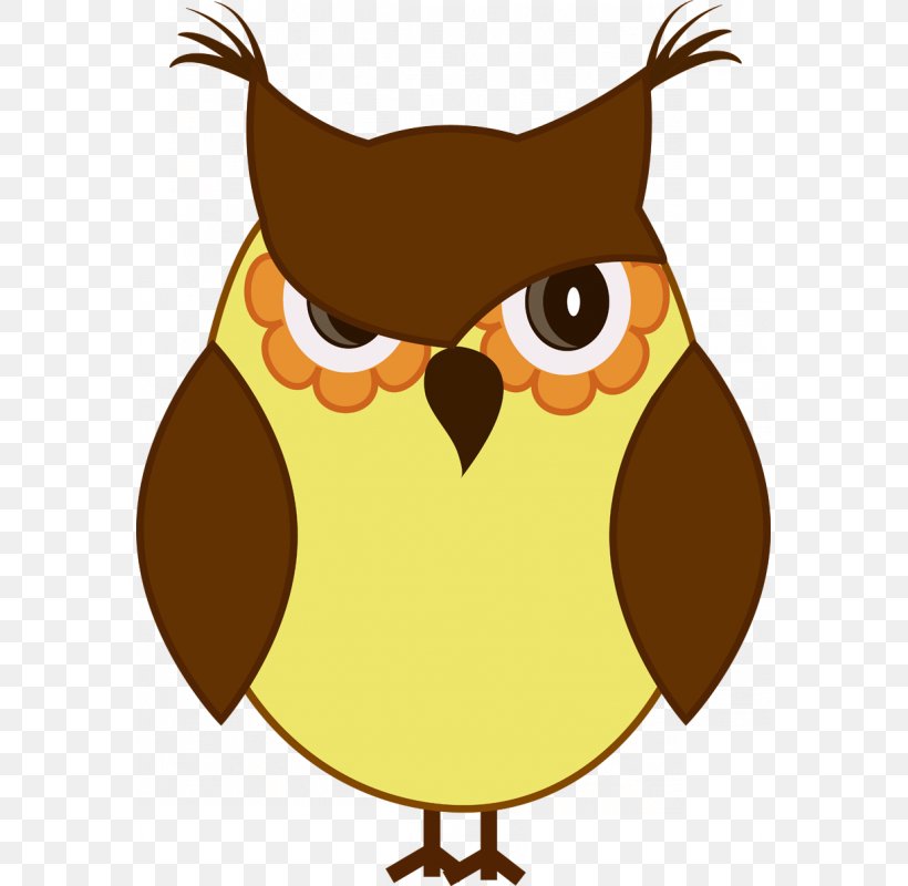 Paper Owl Sticker Painting Wallpaper, PNG, 800x800px, Paper, Beak, Bird, Bird Of Prey, Canvas Download Free