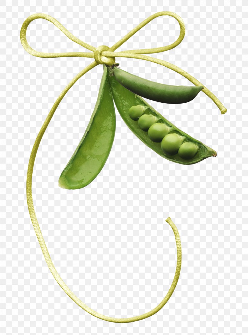 Pea Clip Art, PNG, 1450x1957px, Pea, Common Bean, Common Sunflower, Food, Fruit Download Free