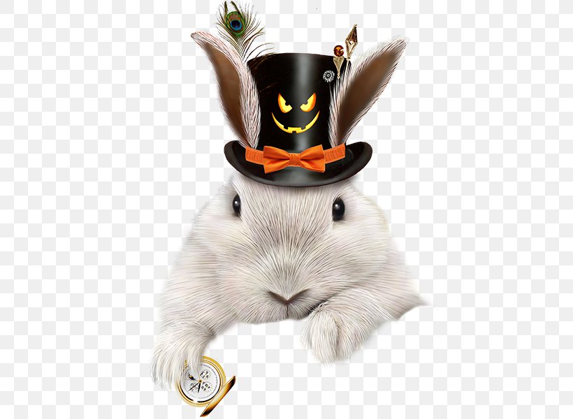 Domestic Rabbit European Rabbit Hat, PNG, 600x600px, Domestic Rabbit, Accessoire, Centerblog, European Rabbit, Fashion Accessory Download Free