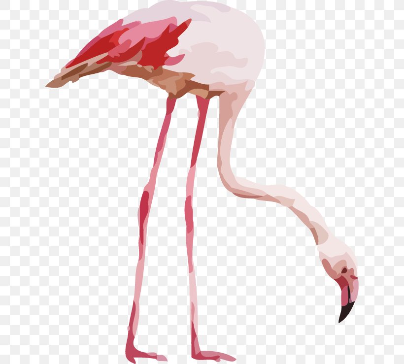 Flamingo Watercolor Painting Royalty-free Illustration, PNG, 636x739px, Flamingo, Art, Beak, Bird, Color Download Free