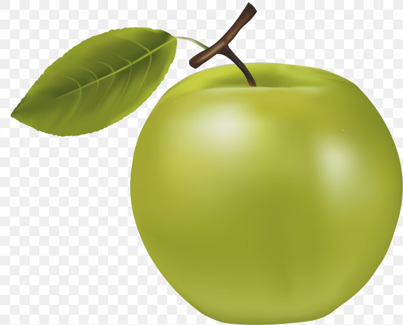 Granny Smith Manzana Verde Apple, PNG, 1683x1358px, Granny Smith, Apple, Auglis, Food, Fruit Download Free