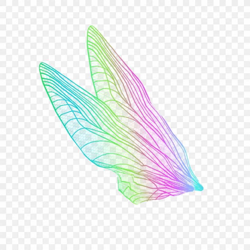 Line, PNG, 1600x1600px, Wing, Feather Download Free