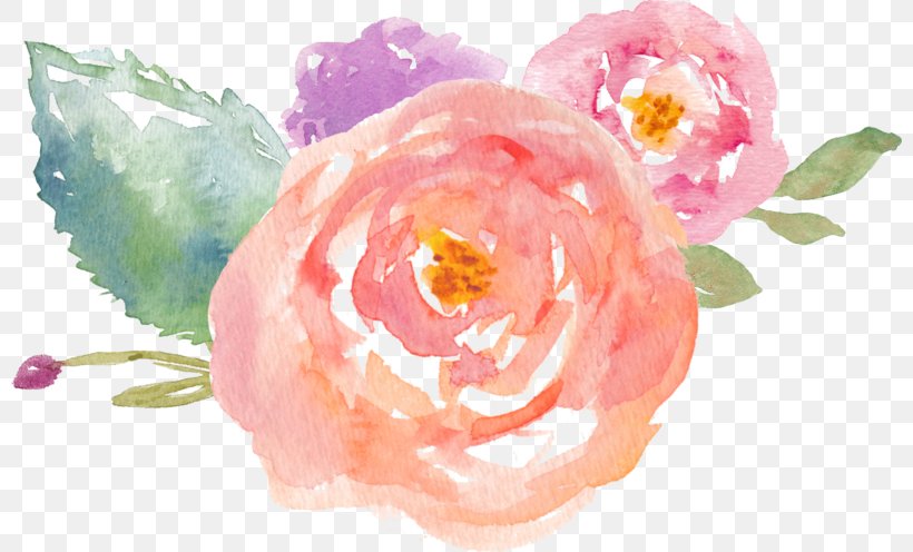 Watercolor Painting Drawing Clip Art, PNG, 800x496px, Watercolor Painting, Art, Art Museum, Drawing, Floral Design Download Free