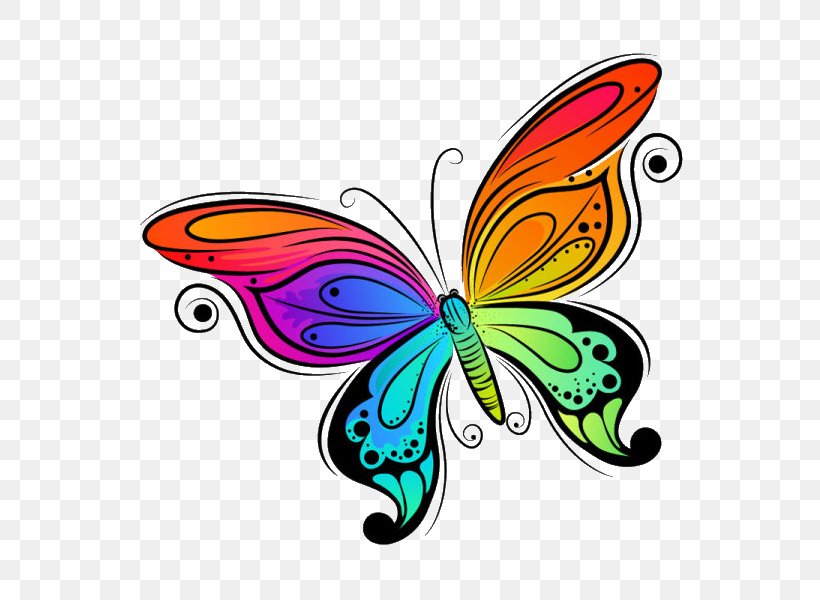 Butterfly Clip Art Vector Graphics Drawing Image, PNG, 600x600px, Butterfly, Drawing, Insect, Invertebrate, Moths And Butterflies Download Free