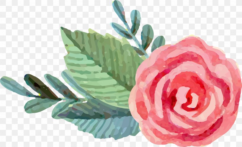 Garden Roses Beach Rose Watercolor: Flowers Watercolor Painting Pink, PNG, 3752x2282px, Garden Roses, Artificial Flower, Beach Rose, Color, Cut Flowers Download Free