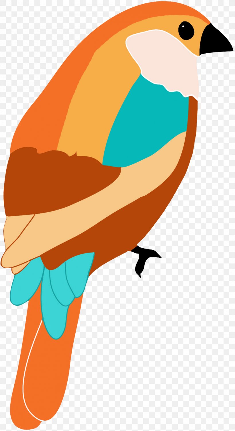 Hummingbird Drawing Art Clip Art, PNG, 1181x2169px, Bird, Art, Artwork, Beak, Bullfinch Download Free