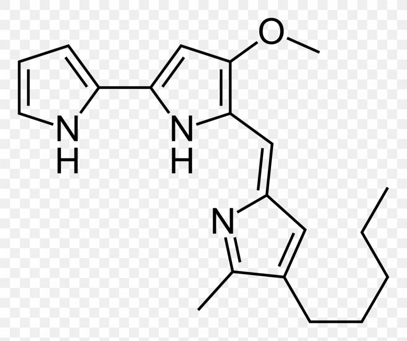 Serratia Marcescens Prodigiosin Gram-negative Bacteria Pigment, PNG, 1221x1024px, Serratia Marcescens, Area, Bacillus, Bacteria, Black Download Free