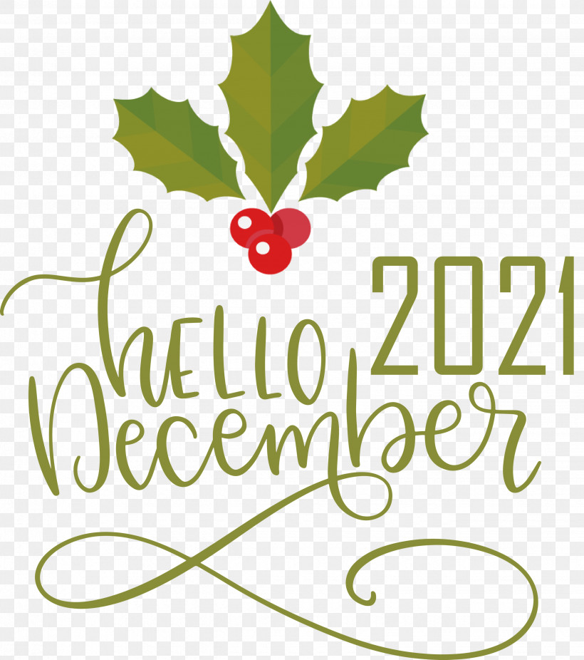 Hello December December Winter, PNG, 2655x3000px, Hello December, December, Flower, Fruit, Geometry Download Free