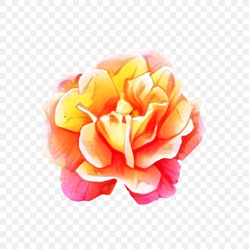 Pink Flower Cartoon, PNG, 1024x1024px, Garden Roses, Artificial Flower, Camellia, Cut Flowers, Flower Download Free