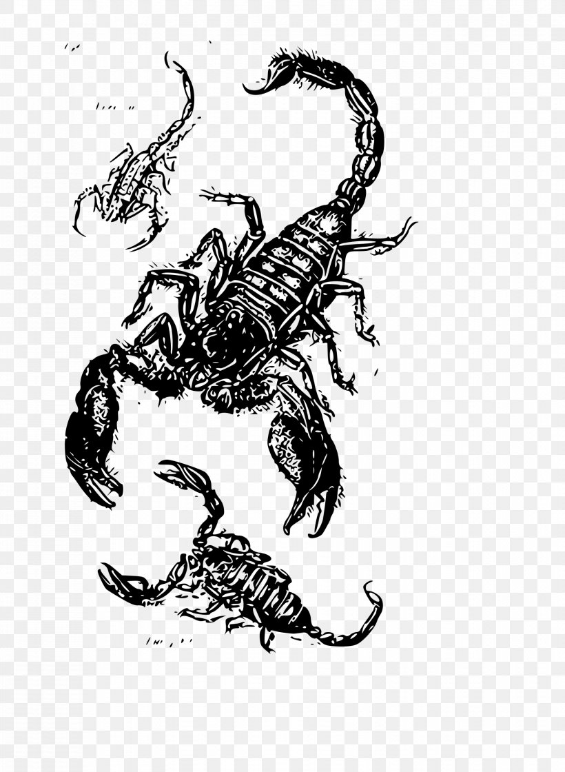 Scorpion Drawing Clip Art, PNG, 1756x2400px, Scorpion, Art, Arthropod, Black And White, Can Stock Photo Download Free