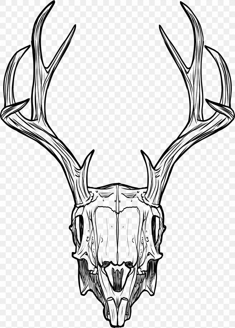 Skull Jackalope Horn Antler Drawing, PNG, 1720x2400px, Skull, Antler, Black And White, Body Jewelry, Bone Download Free