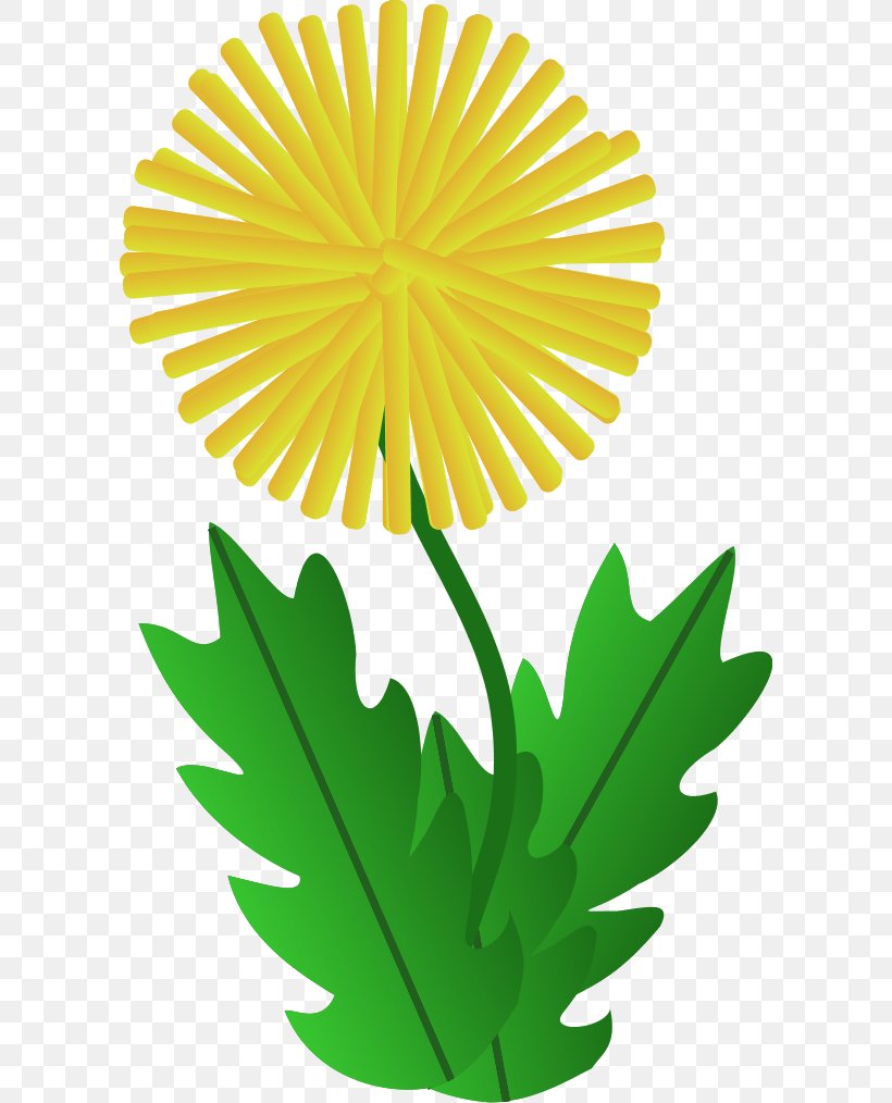 Dandelion Clip Art, PNG, 600x1014px, Dandelion, Chrysanths, Daisy Family, Drawing, Flower Download Free