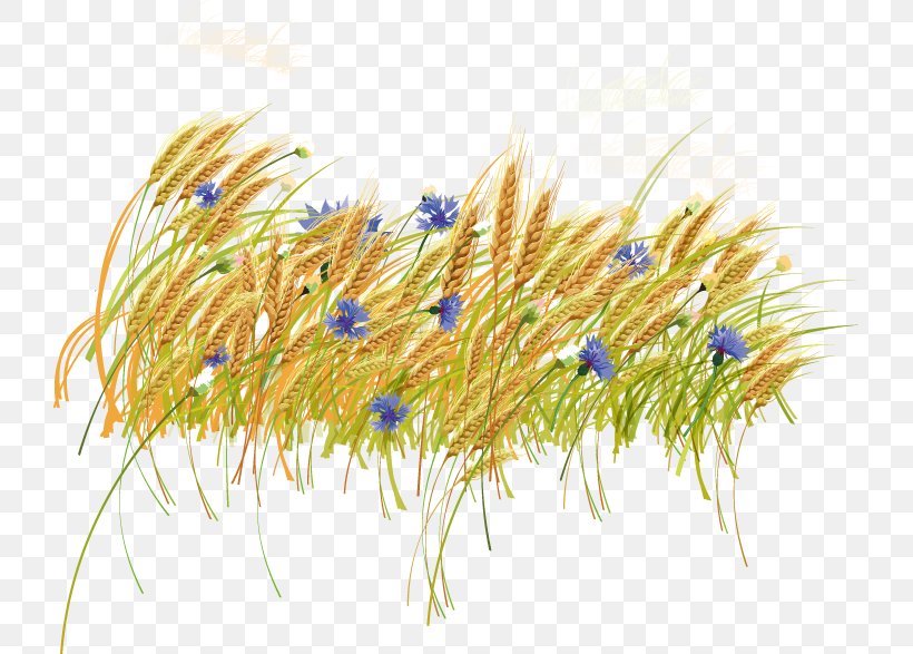 Haystack Wheat Clip Art, PNG, 723x587px, Haystack, Commodity, Computer Software, Grass, Grass Family Download Free