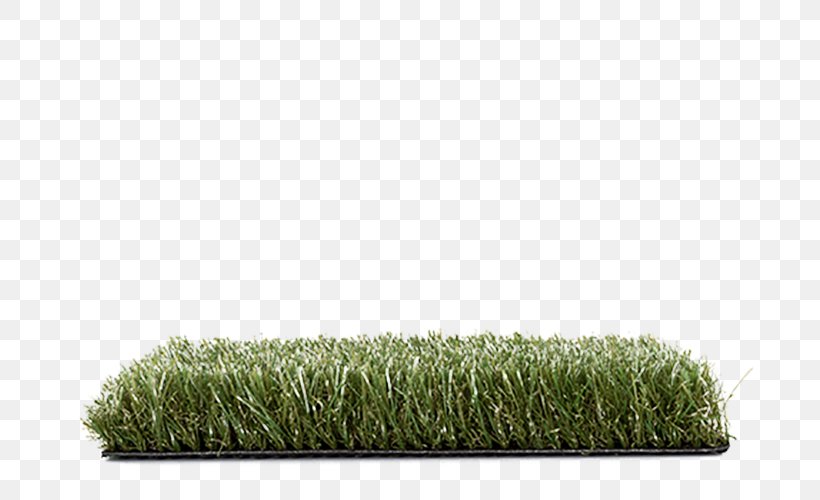 Artificial Turf Lawn Carpet Patio Polypropylene, PNG, 686x500px, Artificial Turf, Carpet, Centrepoint Carpets Ltd, Floor, Garden Download Free