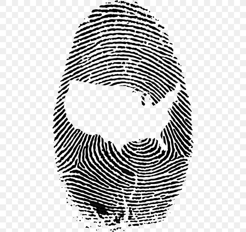 Fingerprint Detective Live Scan Device Fingerprint, PNG, 472x772px, Fingerprint, Area, Black, Black And White, Criminal Investigation Download Free