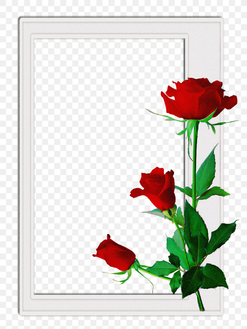 Floral Design, PNG, 770x1090px, Floral Design, Cut Flowers, Flower, Garden Roses, Picture Frame Download Free