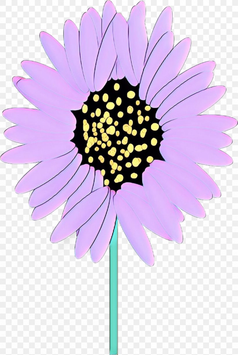 Flowers Background, PNG, 858x1280px, Car, African Daisy, Aster, Asterales, Barberton Daisy Download Free