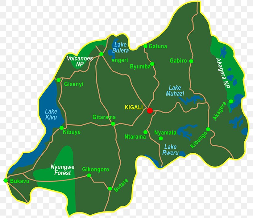 Volcanoes National Park Kazinga Nyungwe Forest Virunga National Park Gorilla, PNG, 800x708px, Volcanoes National Park, Area, East Africa, Gorilla, Green Download Free
