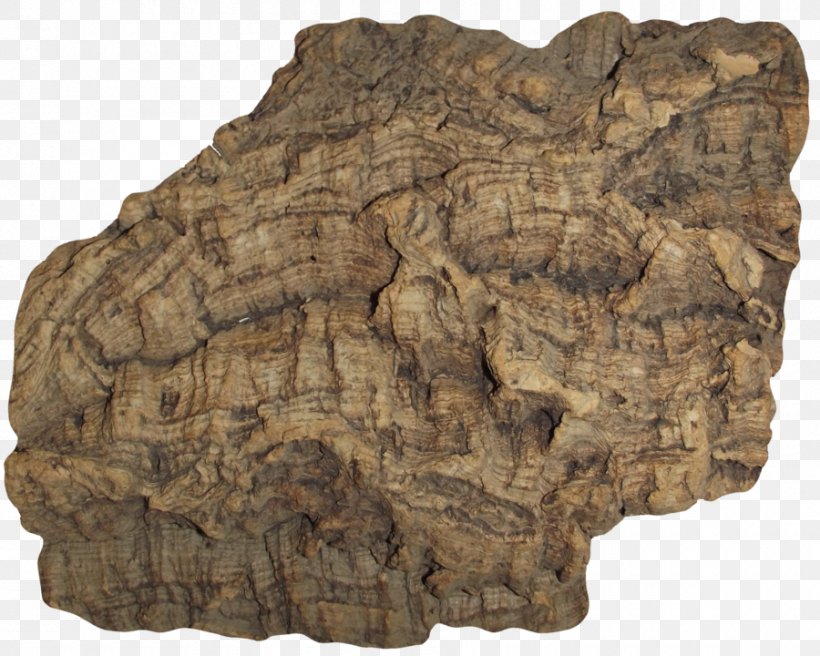 Bark Cork Tree Wood, PNG, 900x720px, Bark, Artifact, Bedrock, Cork, Igneous Rock Download Free