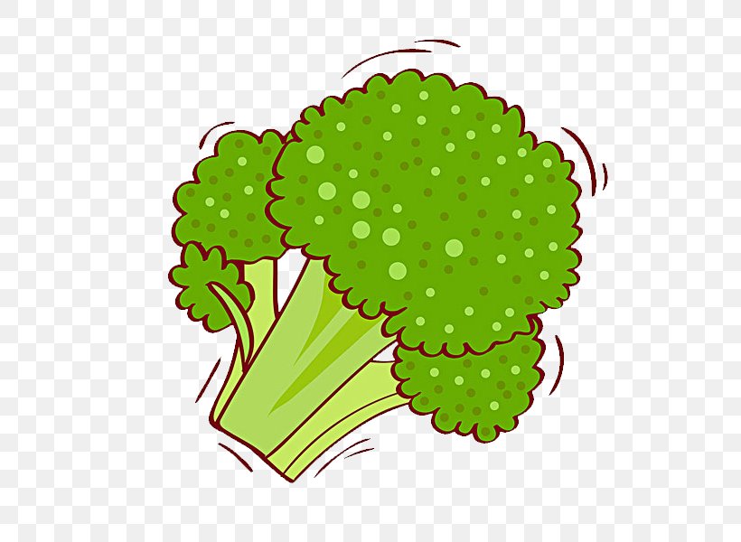 Broccoli Cauliflower Illustration, PNG, 600x600px, Broccoli, Brassica Oleracea, Cauliflower, Flora, Floral Design Download Free