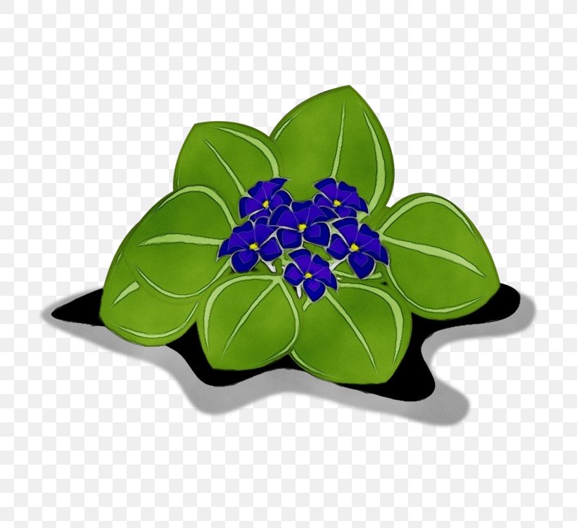 Leaf Green Blue Flower Plant, PNG, 750x750px, Watercolor, Blue, Flower, Flowering Plant, Green Download Free