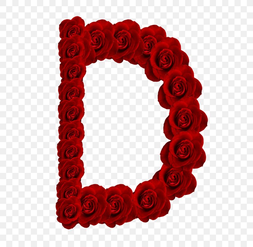 Letter Alphabet Rose K, PNG, 800x800px, Letter, Alphabet, Cut Flowers, Flower, Garden Roses Download Free