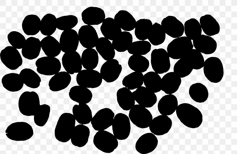 Point Pattern Font Circle Black M, PNG, 3000x1947px, Point, Black M, Plant Download Free