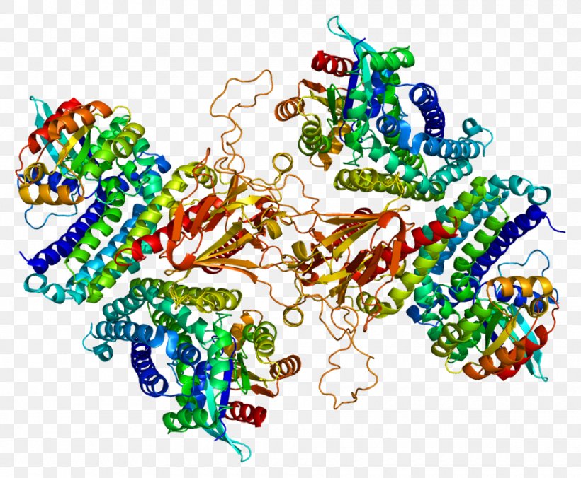 T-cell Lymphoma Invasion And Metastasis-inducing Protein 1 Rho Family Of GTPases, PNG, 960x792px, Lymphoma, Area, Art, Cell, Gtpase Download Free