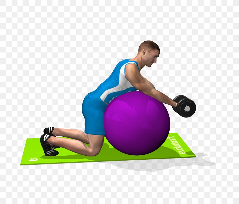 Exercise Balls Pilates Medicine Balls Shoulder, PNG, 700x700px, Watercolor, Cartoon, Flower, Frame, Heart Download Free