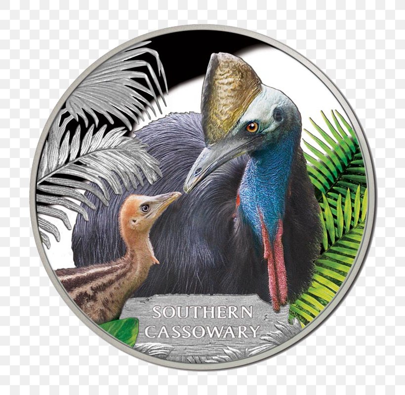 Southern Cassowary Tasmanian Devil Endangered Species Tasmanian Wedge-tailed Eagle Coin, PNG, 800x800px, Southern Cassowary, Beak, Bird, Cassowary, Coin Download Free
