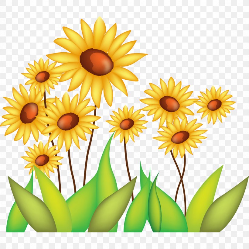 Common Sunflower Drawing, PNG, 1181x1181px, Common Sunflower, Animation, Cut Flowers, Daisy, Daisy Family Download Free
