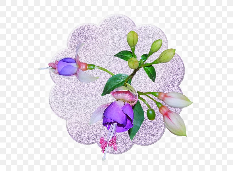 Floral Design Cut Flowers Artificial Flower Clip Art, PNG, 600x600px, Floral Design, Artificial Flower, Author, Cut Flowers, Flora Download Free