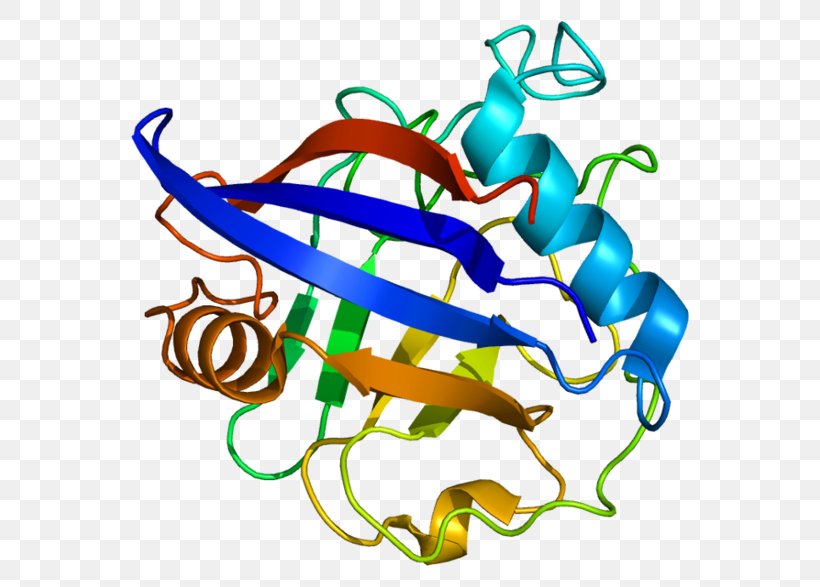 Gene Triosephosphate Isomerase Nucleic Acid Sequence DNA, PNG, 600x587px, Gene, Area, Artwork, Biosynthesis, Dna Download Free