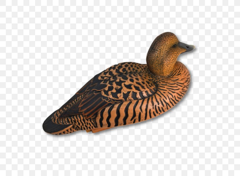 Mallard Duck Beak Fauna Fowl, PNG, 600x600px, Mallard, Beak, Bird, Duck, Ducks Geese And Swans Download Free