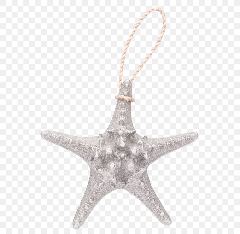 Starfish Gold Noppe Jewellery Snake, PNG, 588x800px, Starfish, Body Jewellery, Body Jewelry, Christmas Ornament, Dostawa Download Free
