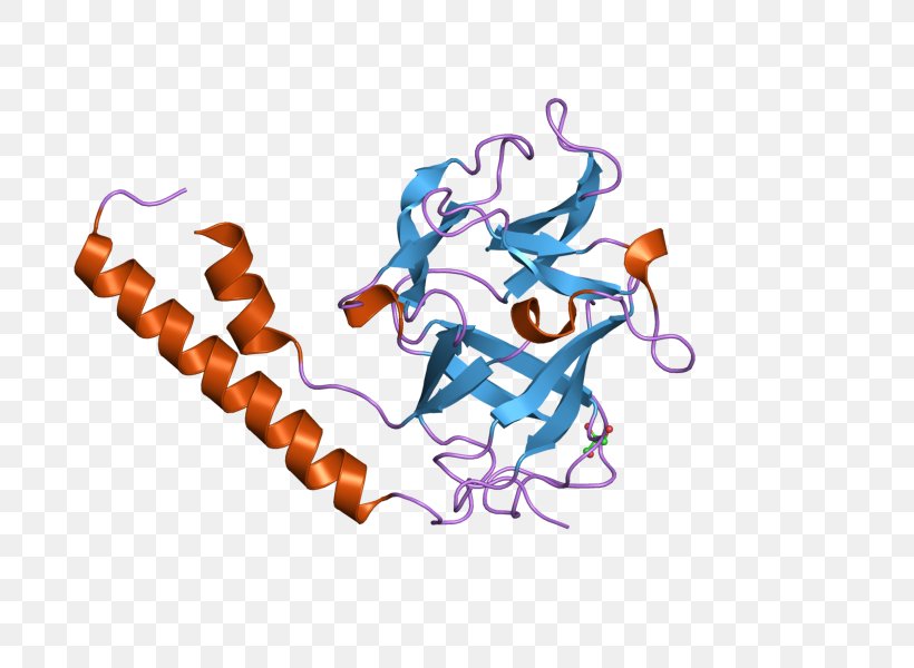 ITPR1 Image Inositol Trisphosphate Receptor Desktop Wallpaper Spinocerebellar Ataxia, PNG, 800x600px, Watercolor, Cartoon, Flower, Frame, Heart Download Free