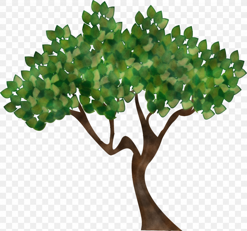 Plane, PNG, 3000x2808px, Tu Bishvat Tree, Abstract Tree, Branch, Cartoon Tree, Flower Download Free