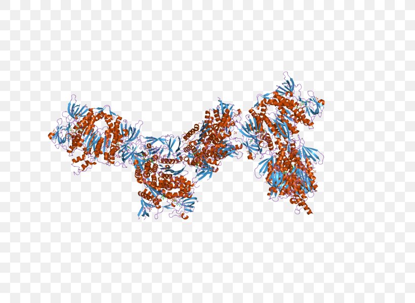 Dihydrolipoamide Dehydrogenase Enzyme Gene, PNG, 800x600px, Dihydrolipoamide Dehydrogenase, Body Jewelry, Dehydrogenase, Dihydrolipoamide, Dihydrolipoyl Transacetylase Download Free