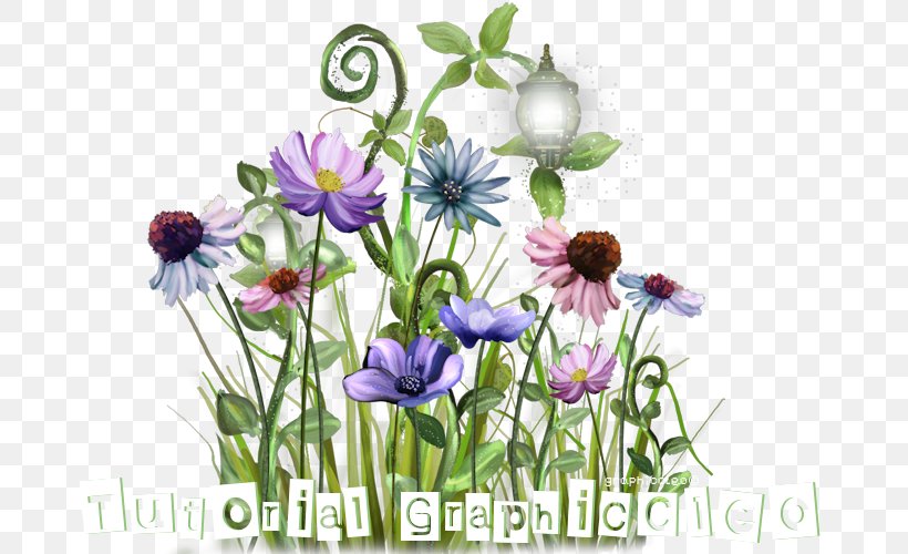 Flower Floral Design Photography Plant Stem Internet Forum, PNG, 700x500px, Watercolor, Cartoon, Flower, Frame, Heart Download Free